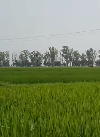 Lalru, Punjab, India