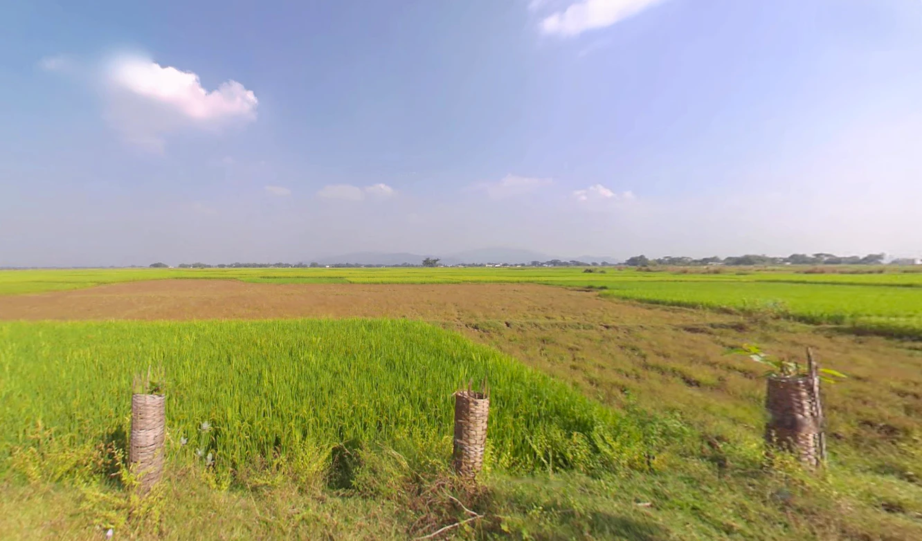 Nuagaon, Odisha 759141, India