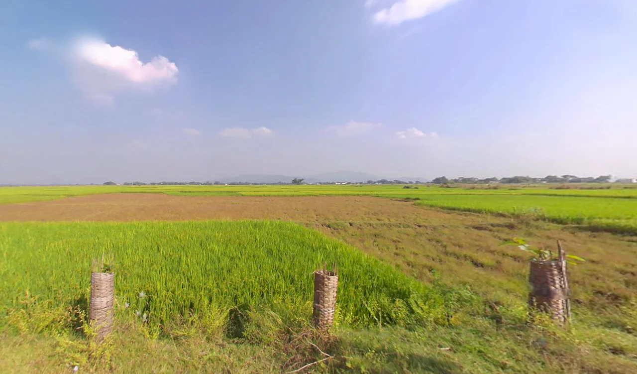 Nuagaon, Odisha 759141, India preview 3