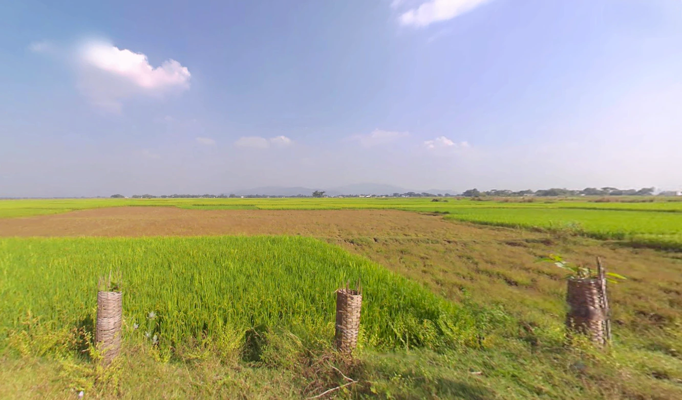 Nuagaon, Odisha 759141, India