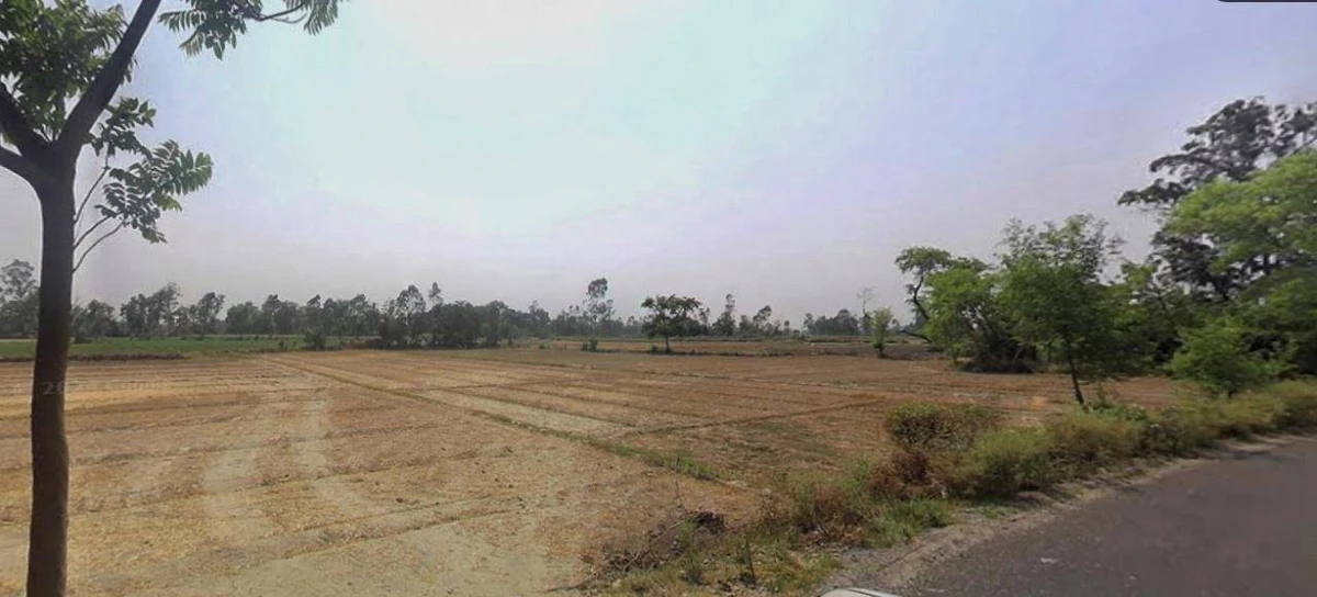 Kalanaur, Haryana 124113, India