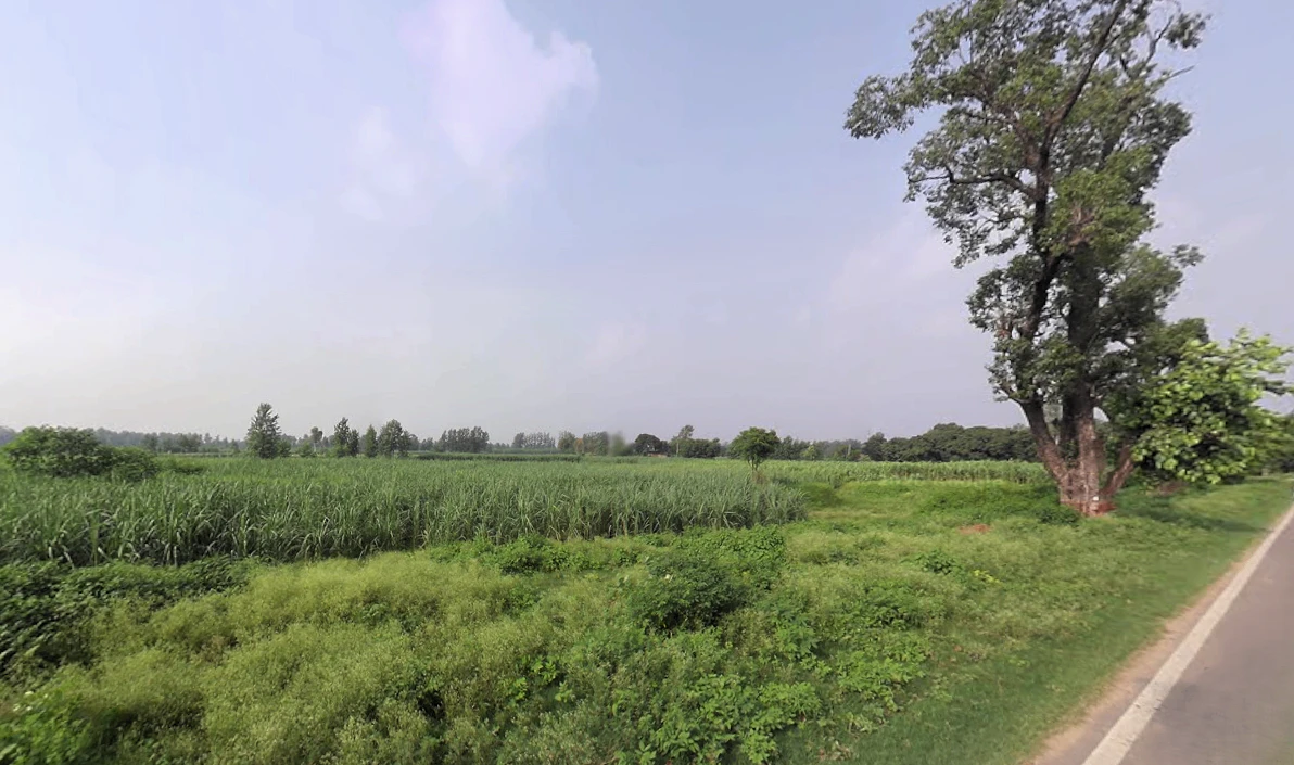 Nakur, Uttar Pradesh 247342, India