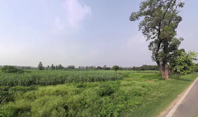 Nakur, Uttar Pradesh 247342, India preview 2