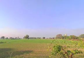 Ghoghrian, Haryana 126115, India preview 3