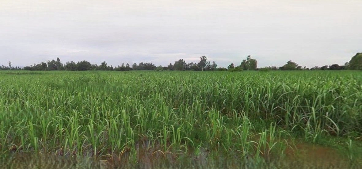 Sikandrabad, Uttar Pradesh 203205, India preview 3