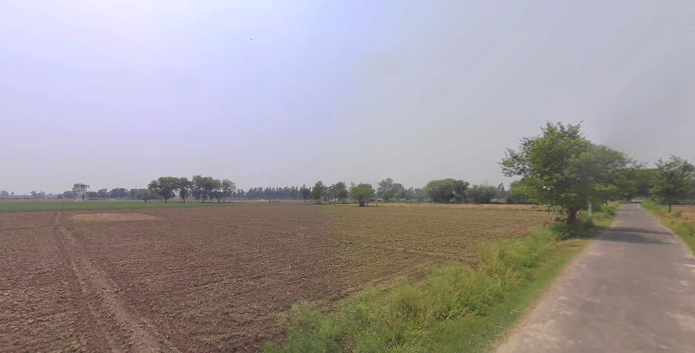 Mawana, Uttar Pradesh, India