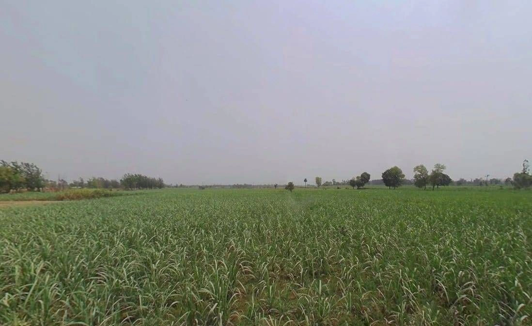 Samipur, Uttar Pradesh 246763, India preview 3