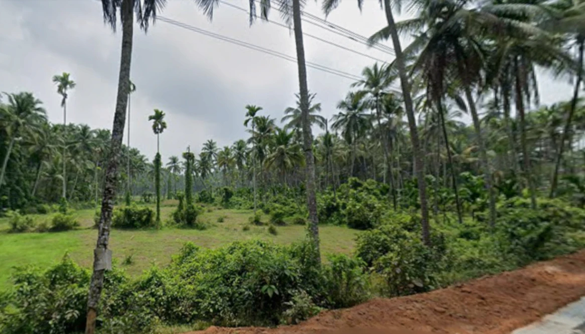 HQ75+HGC, EMS Hospital Rd, Menhaniam, Perambra, Kerala 673525, India