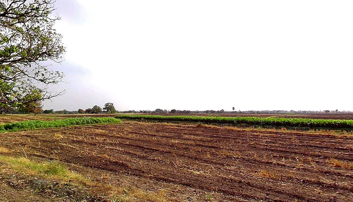Barashiv, Maharashtra, India