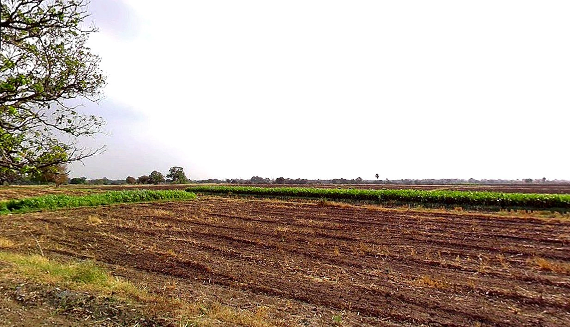 Barashiv, Maharashtra, India