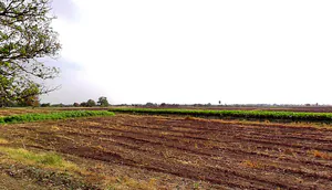 Barashiv, Maharashtra, India preview 2