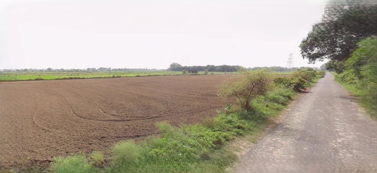 Jhajjar, Haryana 124103, India