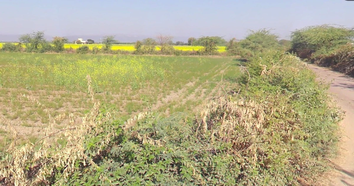 Menoli, Rajasthan, India