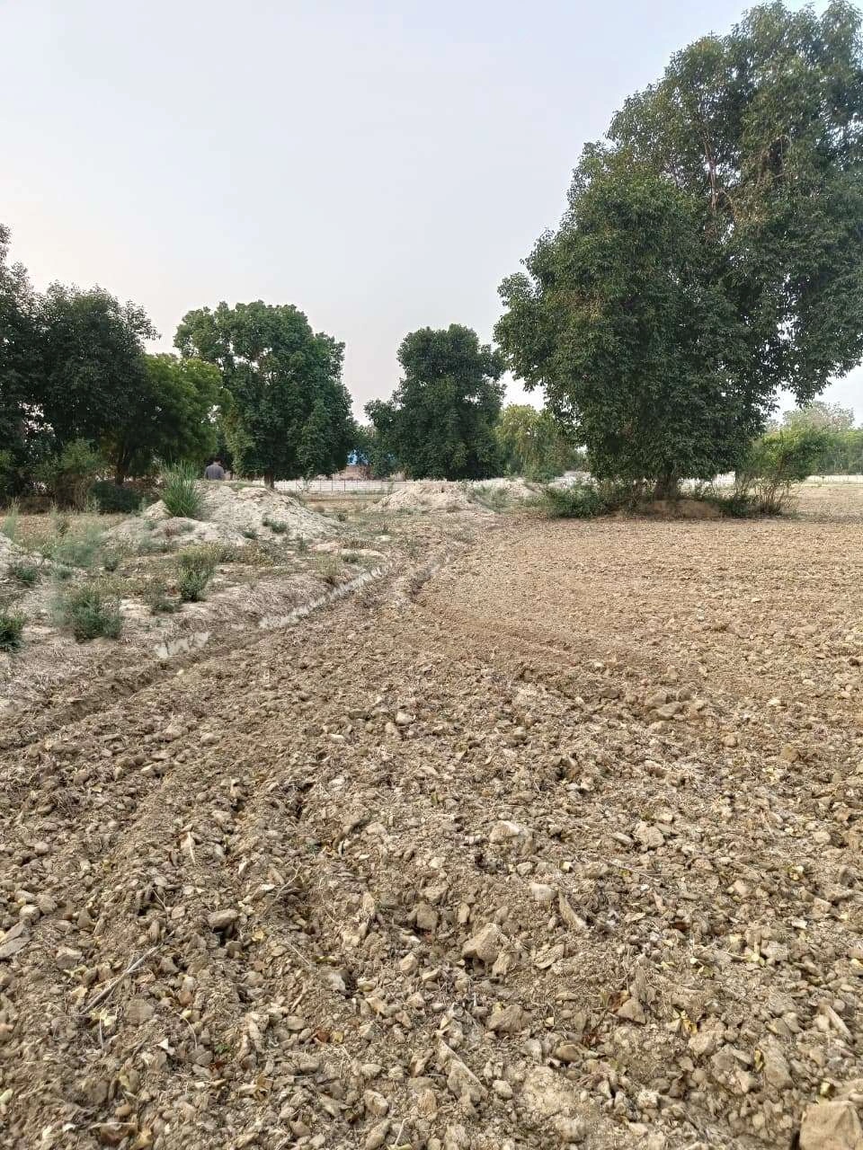 Tentigaon, Uttar Pradesh, India