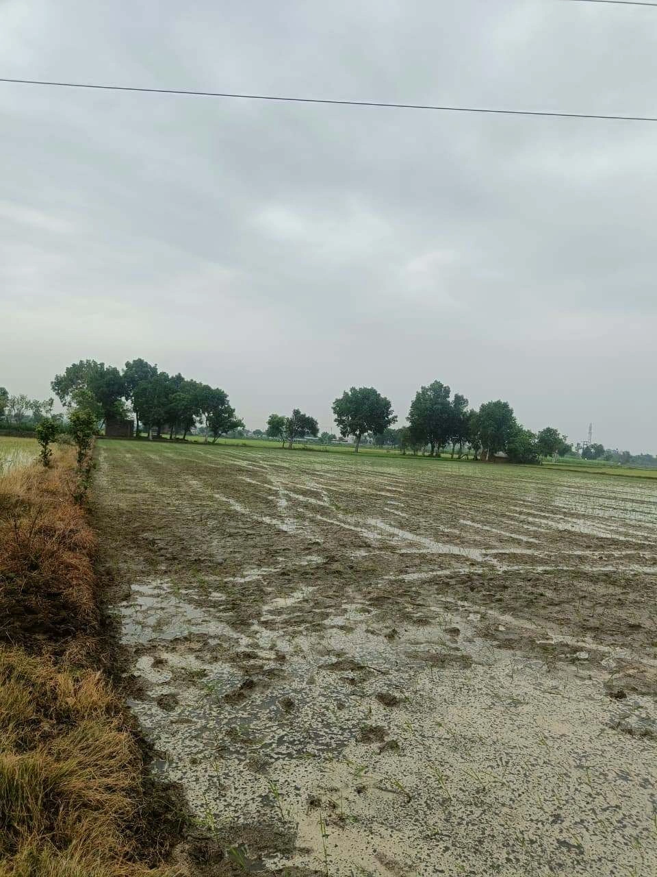 Bukharari, Mathura, Uttar Pradesh, India