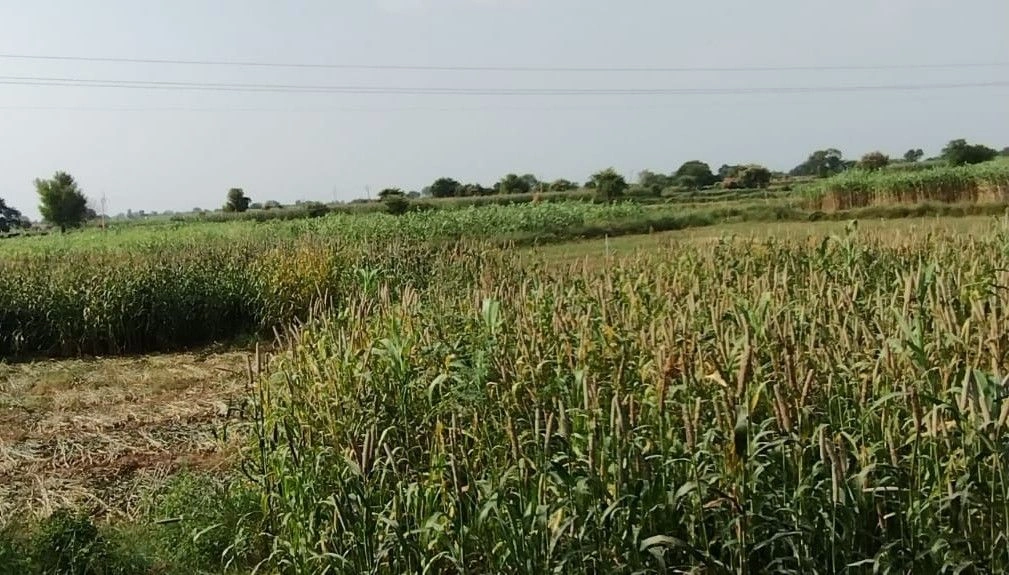 Ulaheri, Rajasthan, India