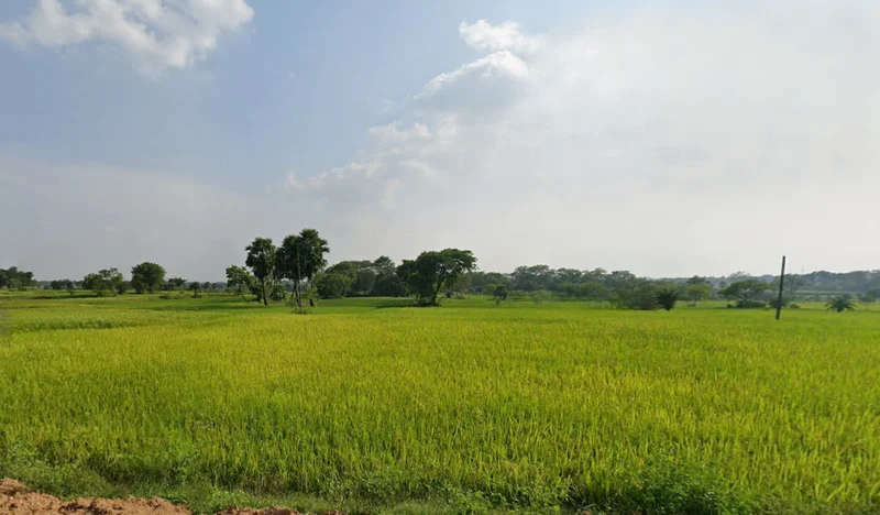 Bankura, West Bengal, India preview 3