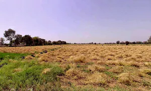 Phulra, Madhya Pradesh 475661, India preview 3