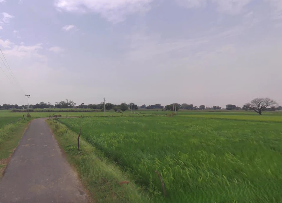 Mant, Uttar Pradesh 281202, India