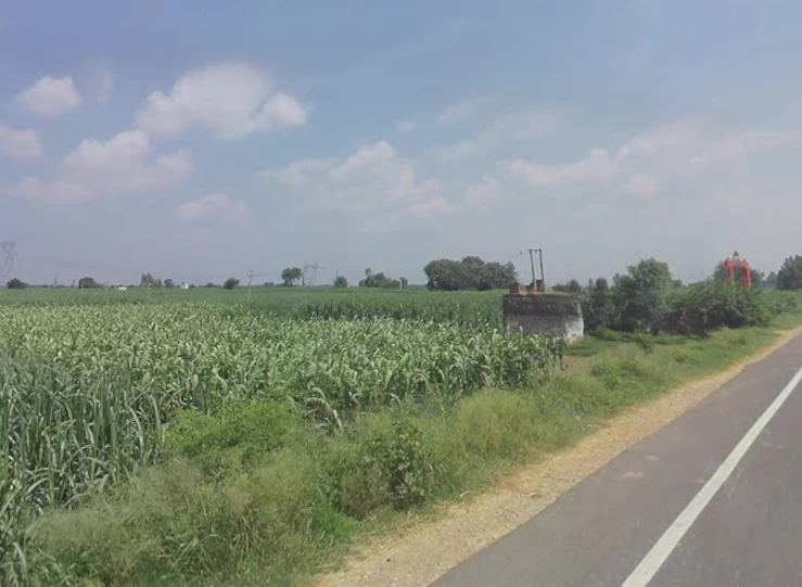 Sarai, Uttar Pradesh 251309, India