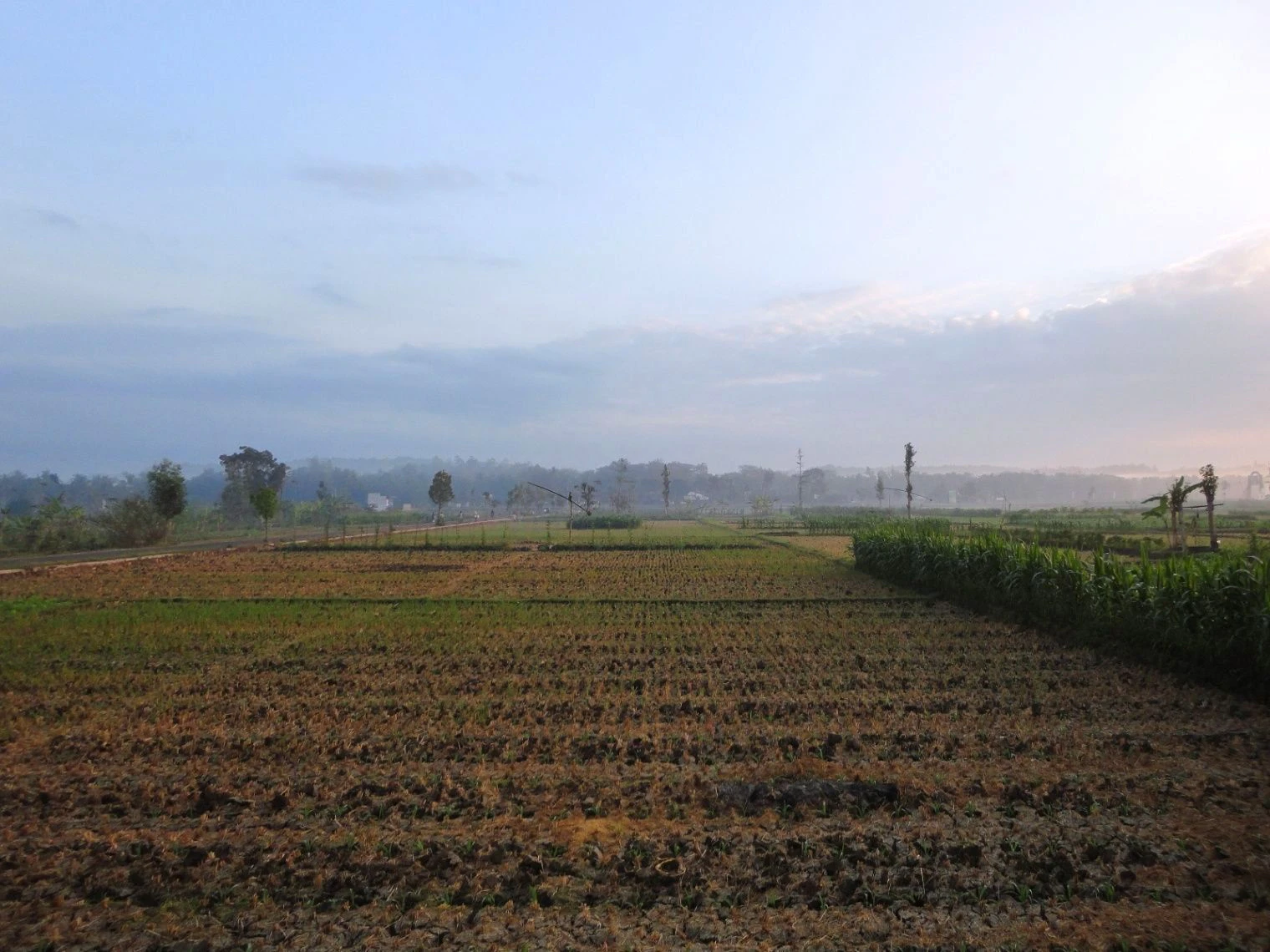 Berla, Rajasthan 321633, India