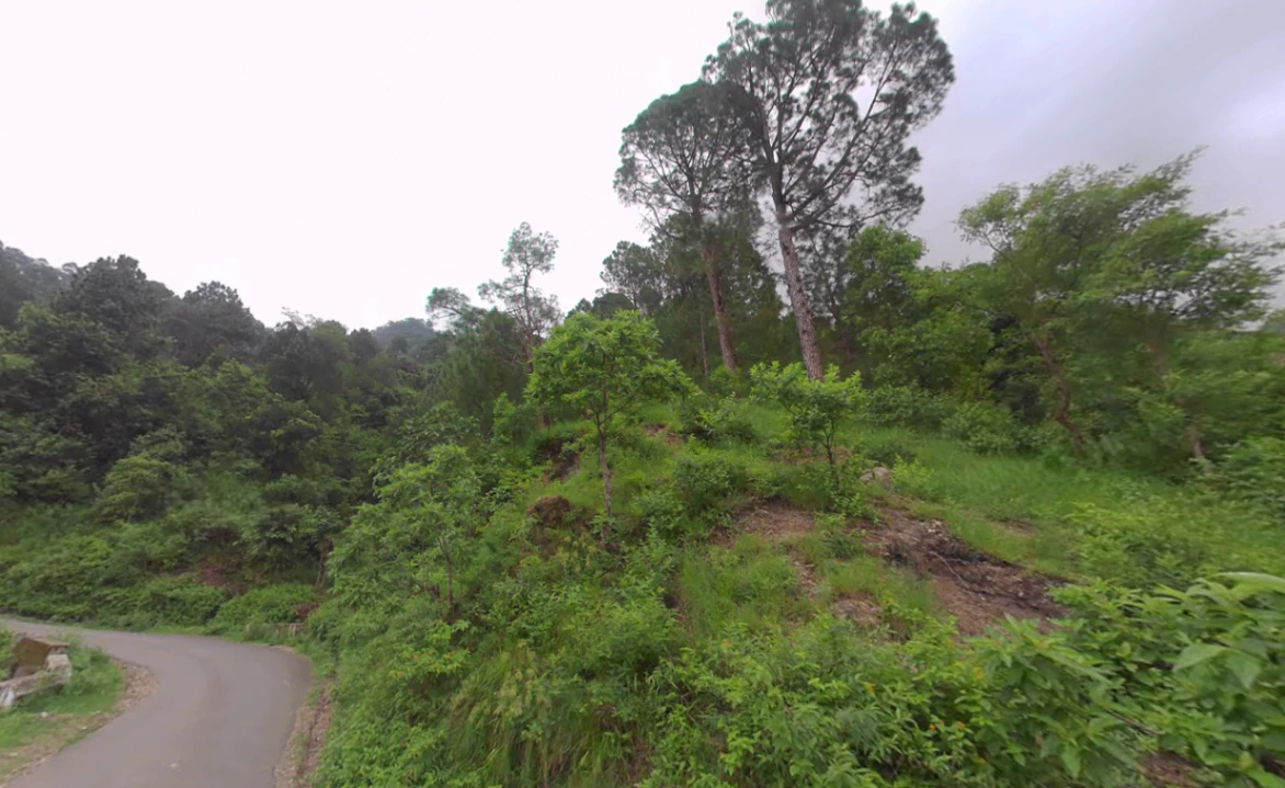 Dadahu, Himachal Pradesh 173022, India