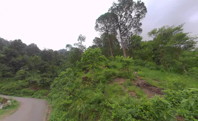 Dadahu, Himachal Pradesh 173022, India preview 3