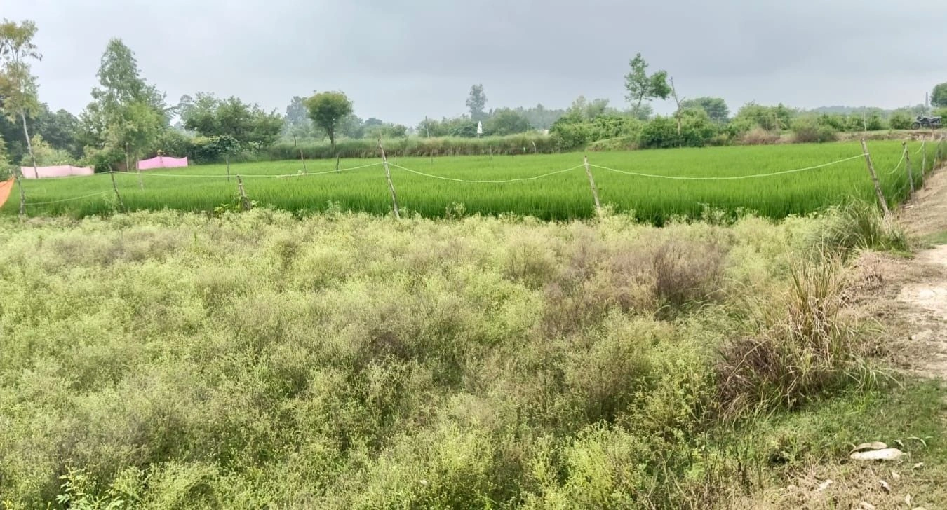 Mohanlalganj, Lucknow, Uttar Pradesh 226301, India