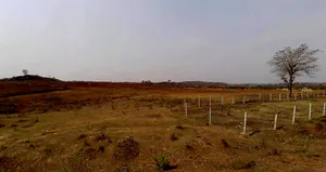 Chhapra, Madhya Pradesh, India preview 3