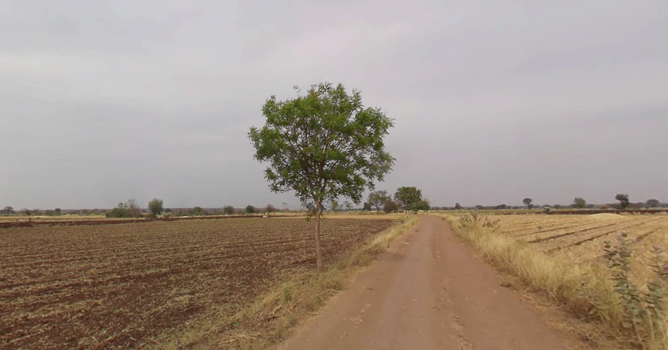Balwada, Madhya Pradesh 451228, India