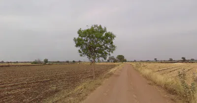 Balwada, Madhya Pradesh 451228, India preview 2