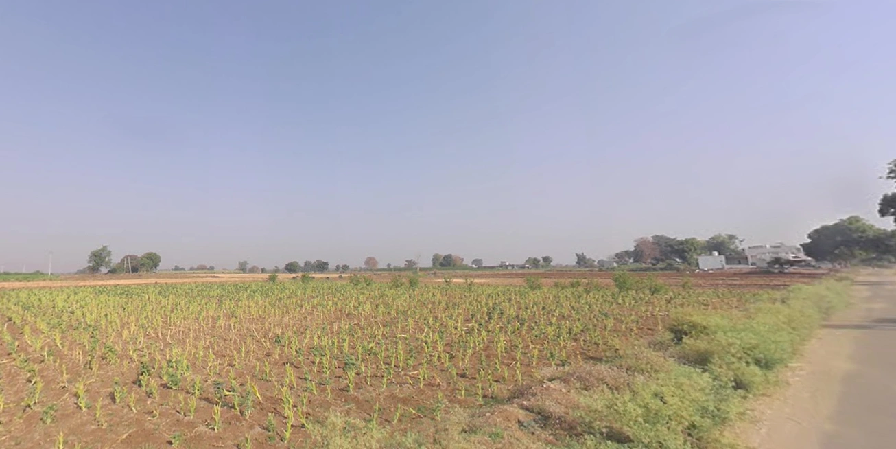 Shertha, Gujarat, India