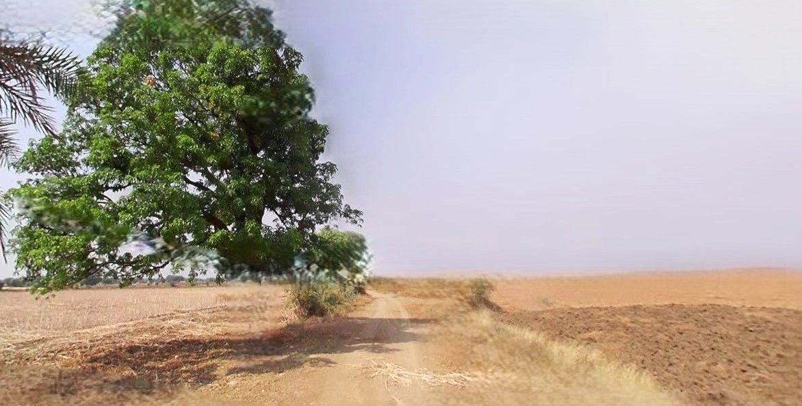 Hasanpur, Uttar Pradesh 244241, India