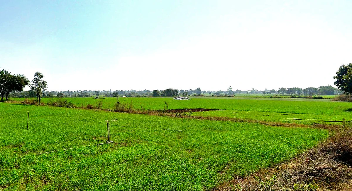 Bhanpur, Bhopal, Madhya Pradesh, India