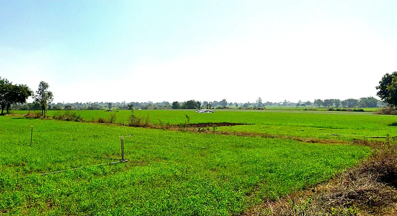 Bhanpur, Bhopal, Madhya Pradesh, India preview 2