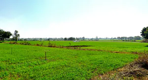 Bhanpur, Bhopal, Madhya Pradesh, India preview 2