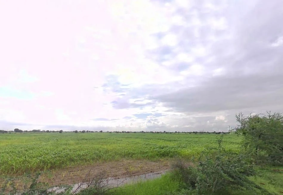 Awanidiya Sultaniya Phagi Rd, Phagi, Rajasthan 303005, India