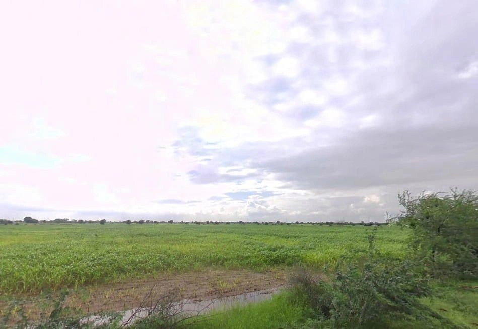 Awanidiya Sultaniya Phagi Rd, Phagi, Rajasthan 303005, India