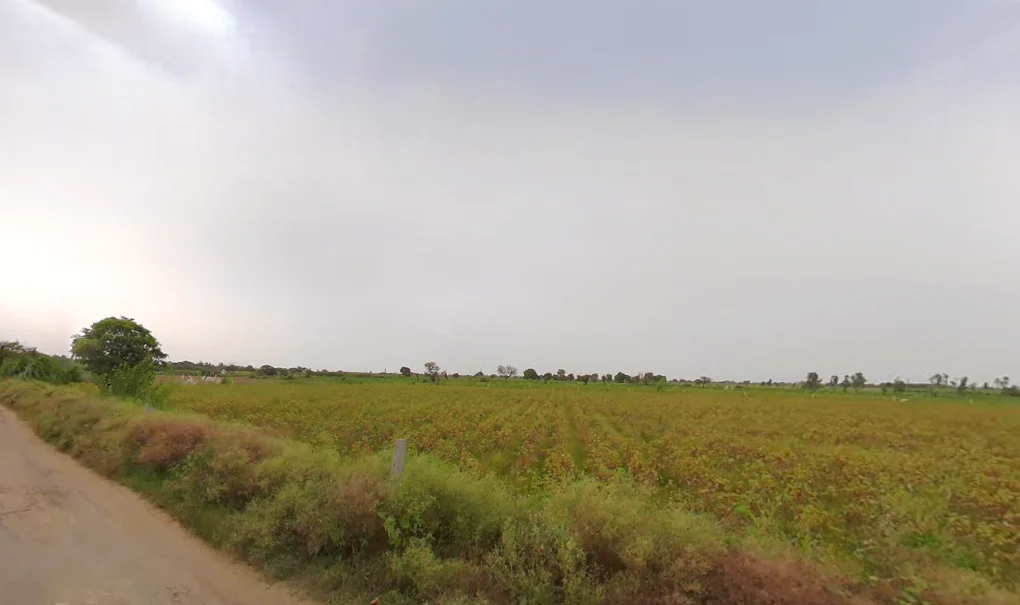 Bigowa, Haryana 127307, India preview 2