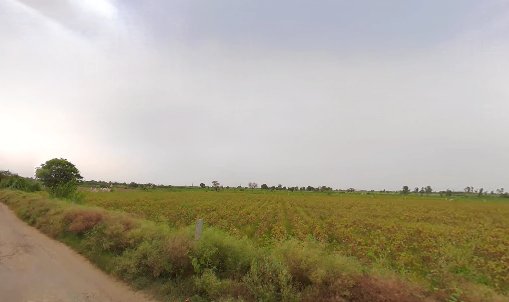 Bigowa, Haryana 127307, India