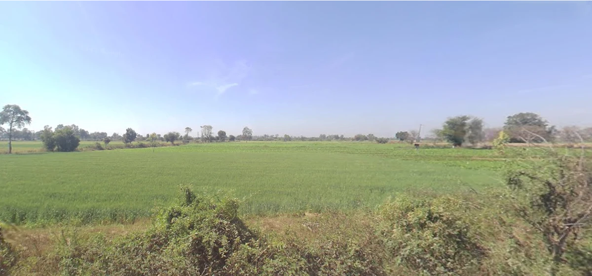 Dinod, Gujarat 394125, India