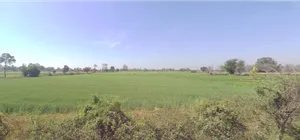 Dinod, Gujarat 394125, India preview 3