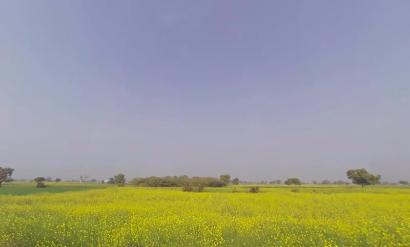 Maujpur, Rajasthan, India preview 2