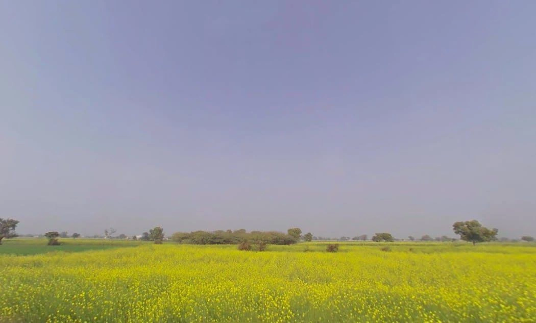 Maujpur, Rajasthan, India