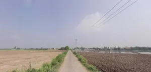 Geong, Haryana 136027, India preview 4