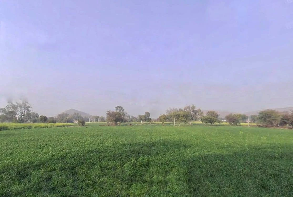 7MXQ+M66, Patan, Rajasthan 301414, India