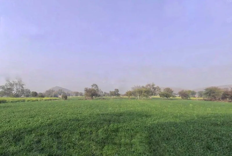 7MXQ+M66, Patan, Rajasthan 301414, India preview 3