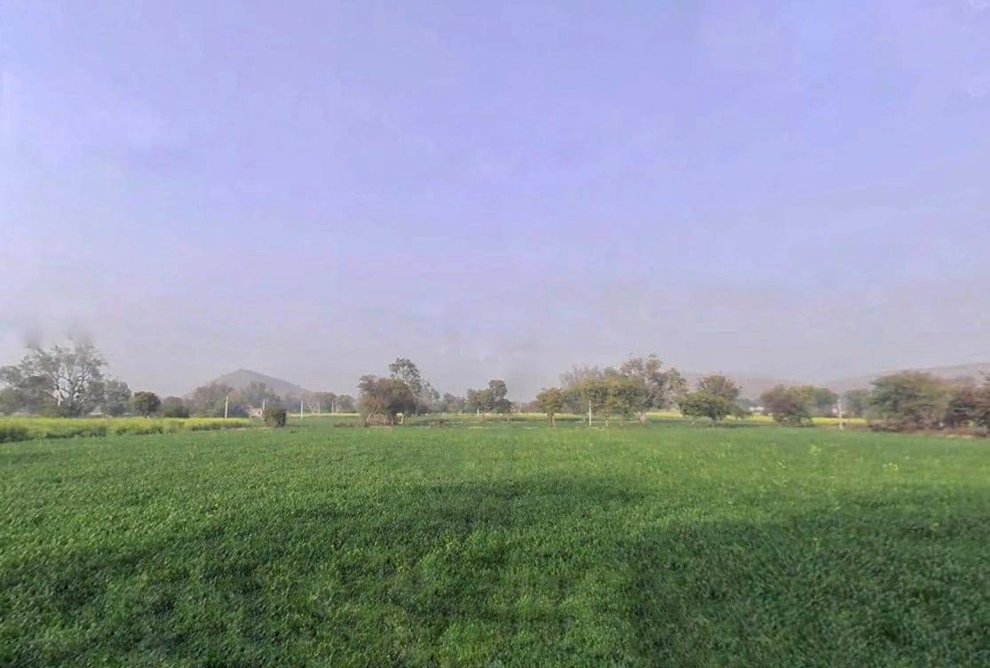 7MXQ+M66, Patan, Rajasthan 301414, India