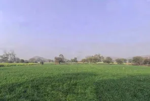 7MXQ+M66, Patan, Rajasthan 301414, India preview 3