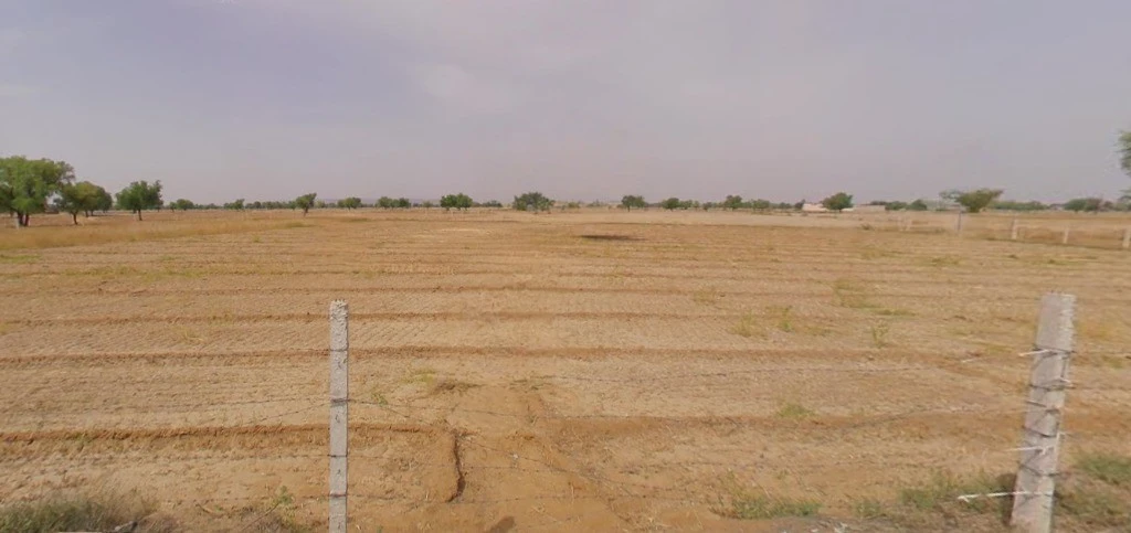 Meloj, Gujarat 384151, India